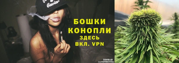меф Белокуриха