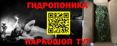 гашик Вязьма