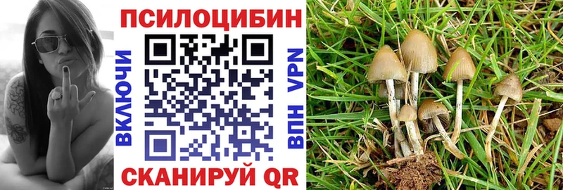 kraken зеркало Богородск Галлюциногенные грибы мицелий